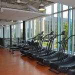 gym, exercise equipment, treamills, exercising, active, workout, fit, gym, gym, gym, gym, gym